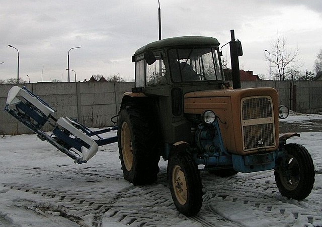 Kosirka wiążąca do wikliny