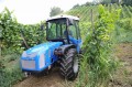 Ciągnik sadowniczy BCS VOLCAN Dualsteer