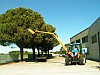 Kosiarka wysięgnikowa na ciągniku New Holland T 7040