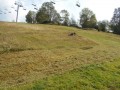Kosiarka bijakowa BCS RollerBlade